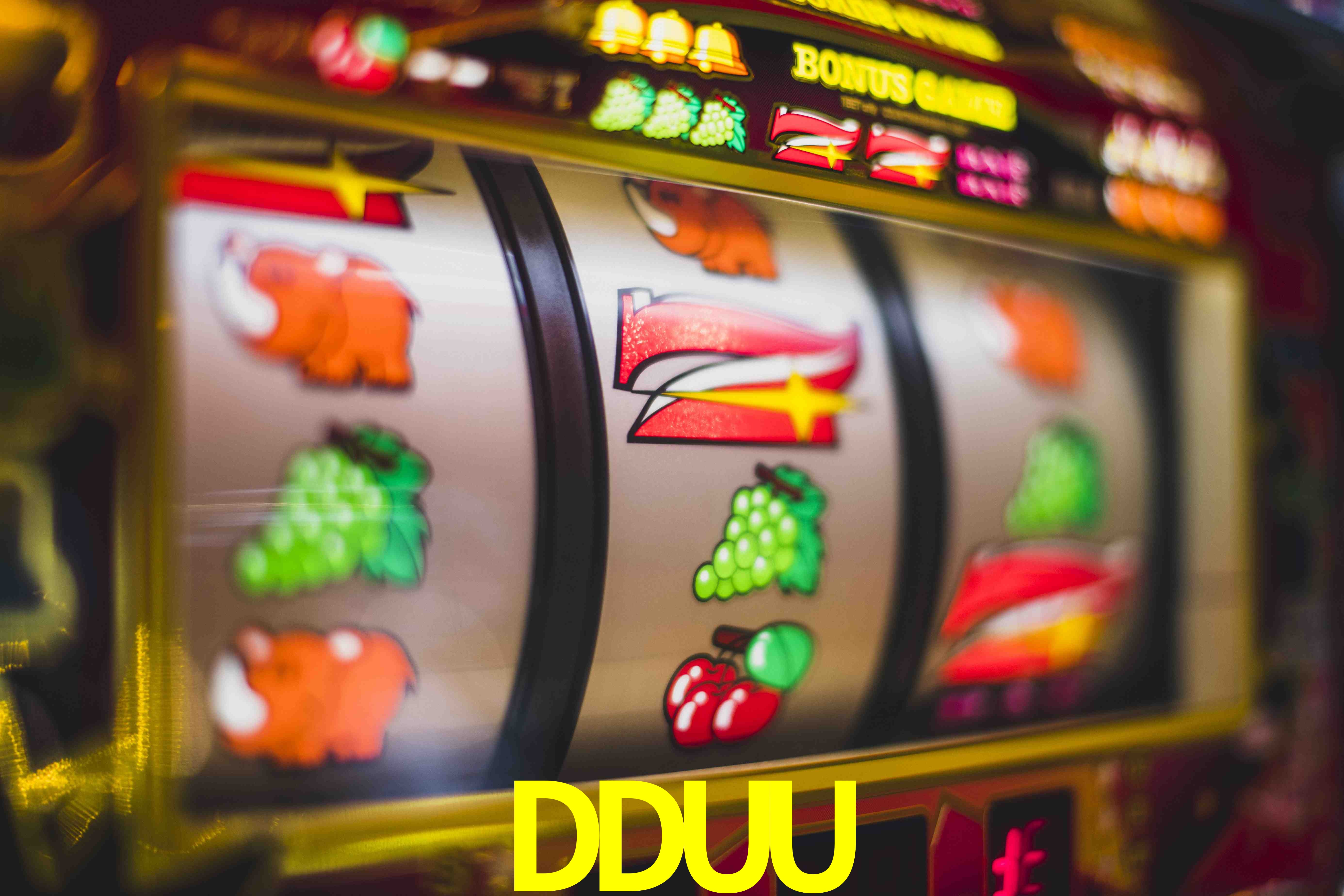 DDUU telegram