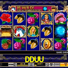 App DDUU iOS